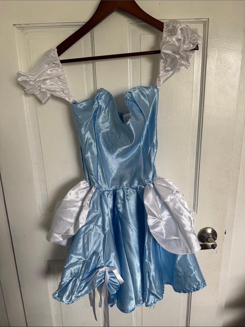 Classic Light Blue Princess adult Costume Dress by